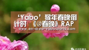‘Yabo’猴年春晚倒计时  《@春晚》RAP神曲魔性拜年(图2)