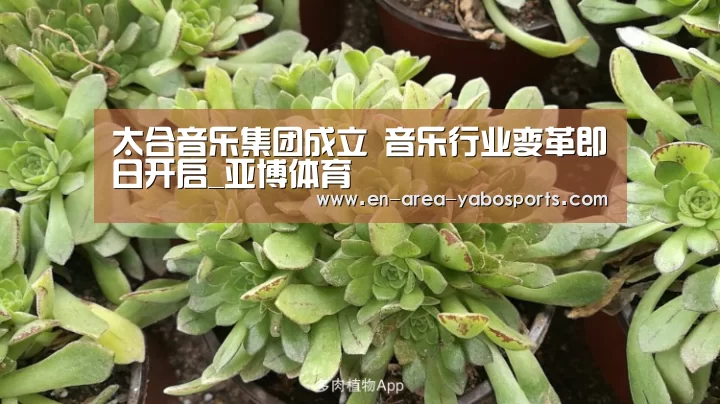 亚博
