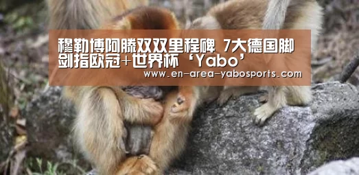 穆勒博阿滕双双里程碑 7大德国脚剑指欧冠+世界杯‘Yabo’(图3) 亚博体育