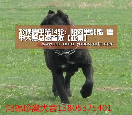 亚博体育