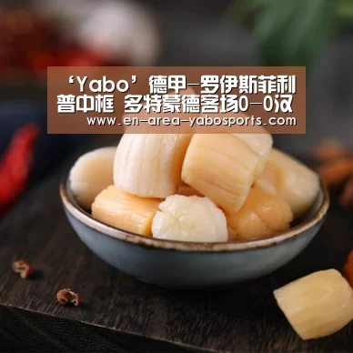 ‘Yabo’德甲-罗伊斯菲利普中框 多特蒙德客场0-0汉诺威(图1)