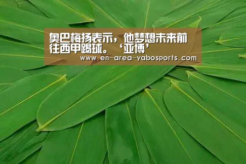 奥巴梅扬表示,他梦想未来前往西甲踢球。‘亚博’(图3) 亚博体育